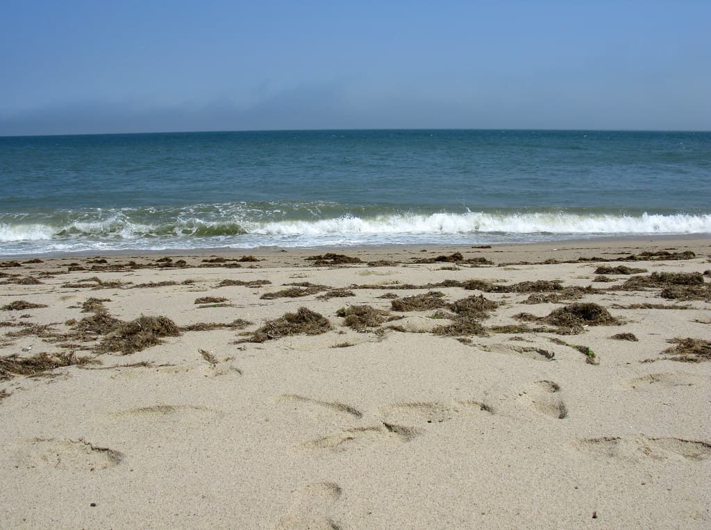 2008 06 07 - 2402 - Siasconset - Beach