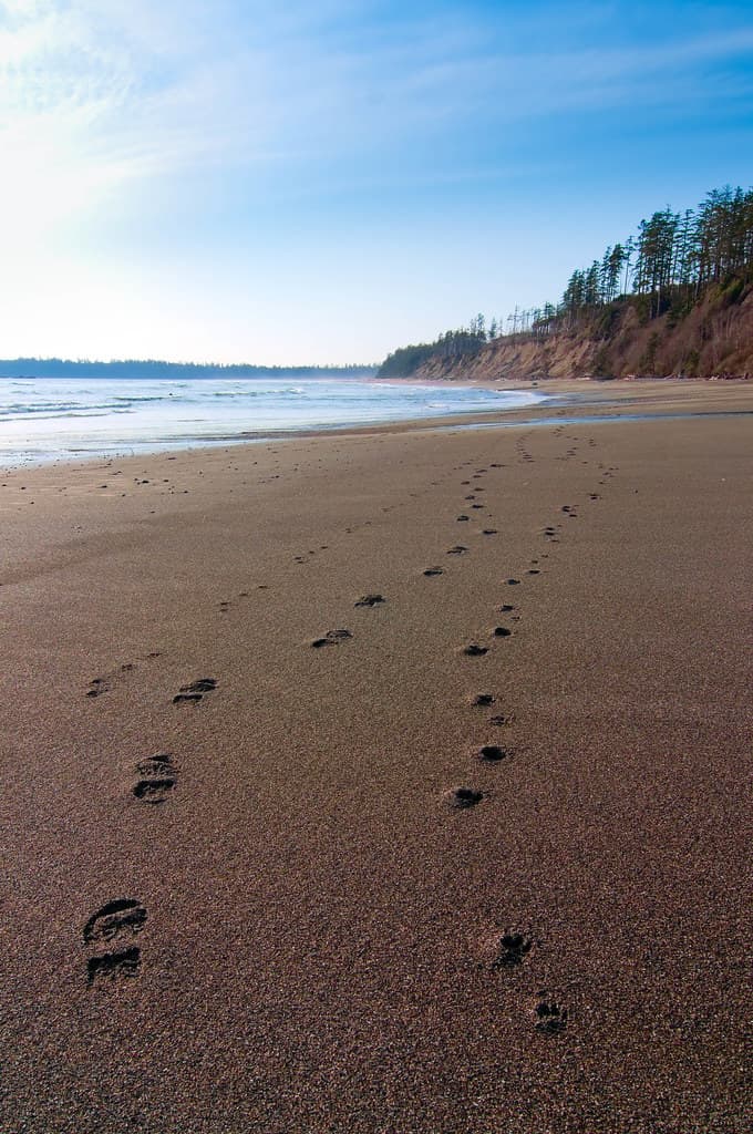 Brown’s Beach — photo by `James Wheeler