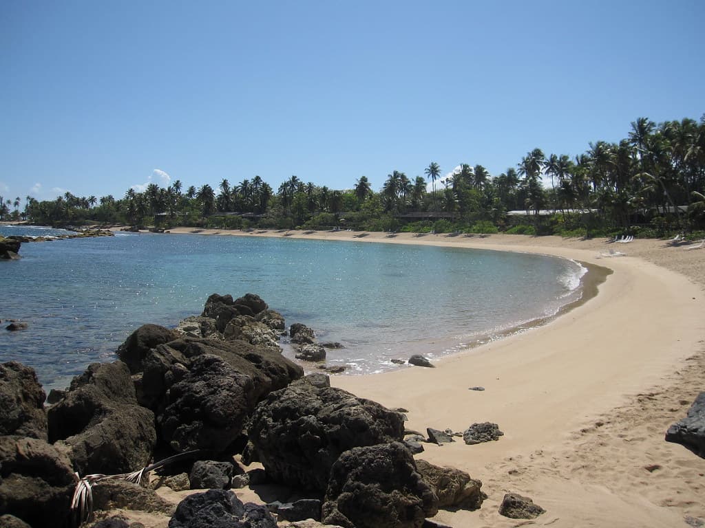 Costa de Oro Beach — photo by palestrina55