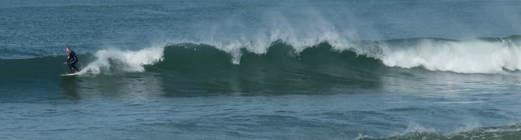 Surfer