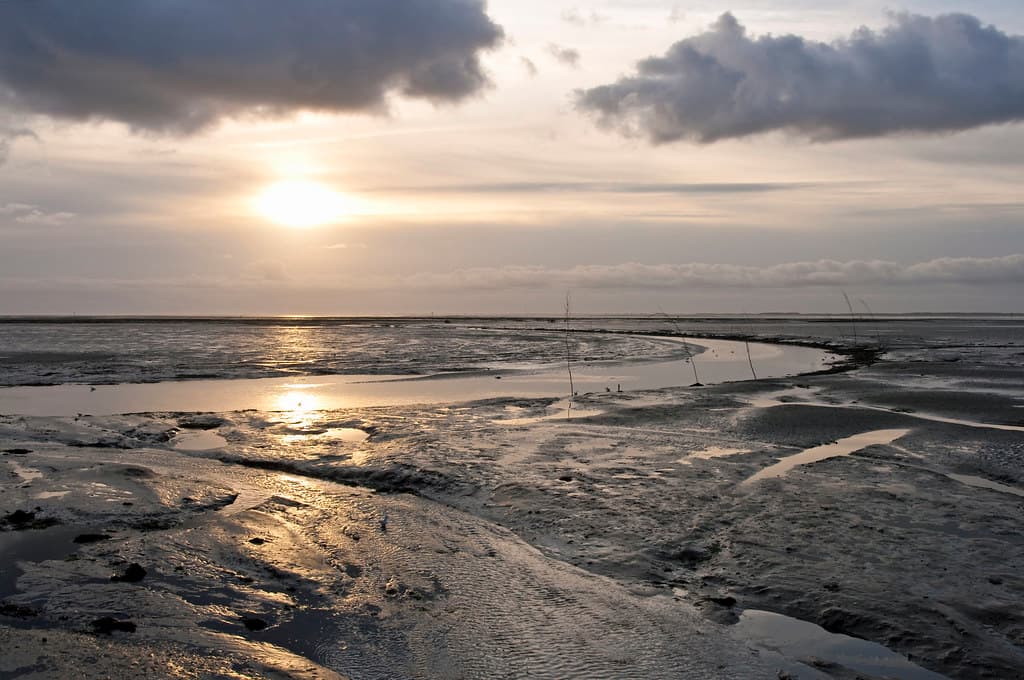 Lauwersoog Beach — photo by Bert Kaufmann