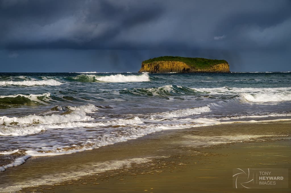 _IGP4320 Minnamurra island beach