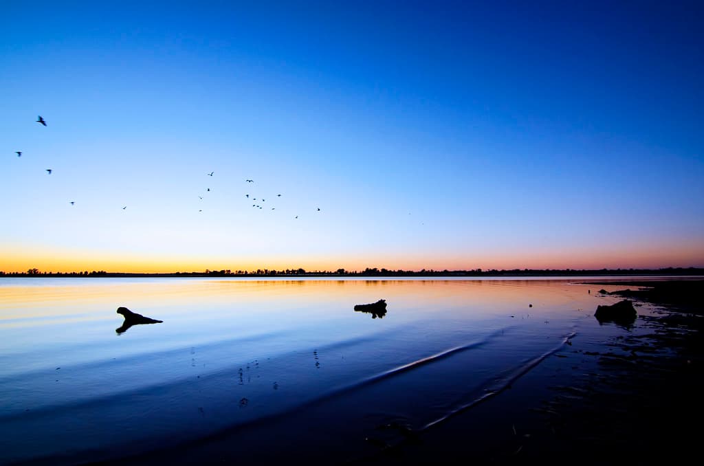 Lakeside Reflection II