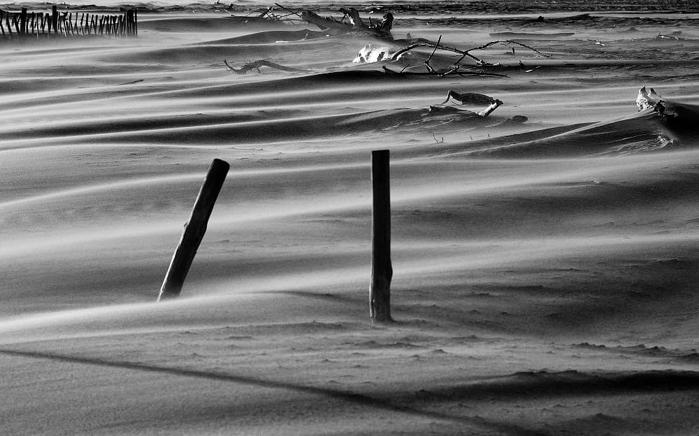 Camargue - Plage des Saintes Maries De La Mer