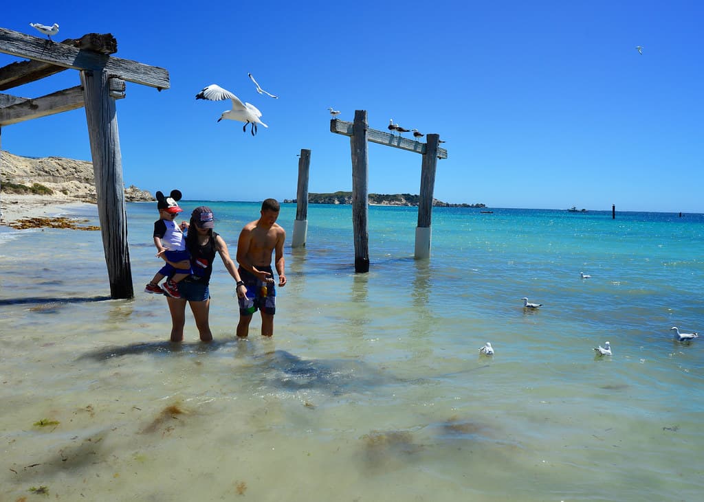 Hamelin Bay, Perth 2014!