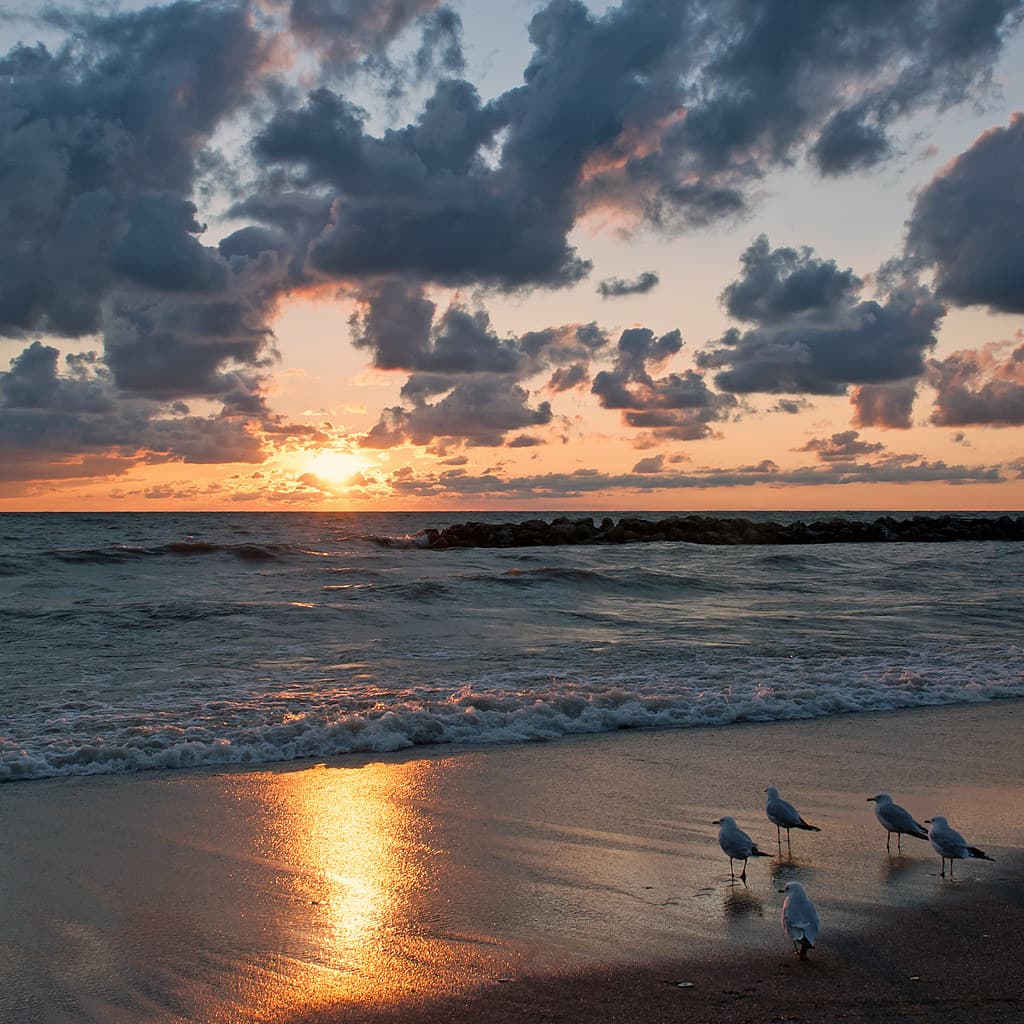 Lighthouse Beach — photo by Christopher Lane Photography