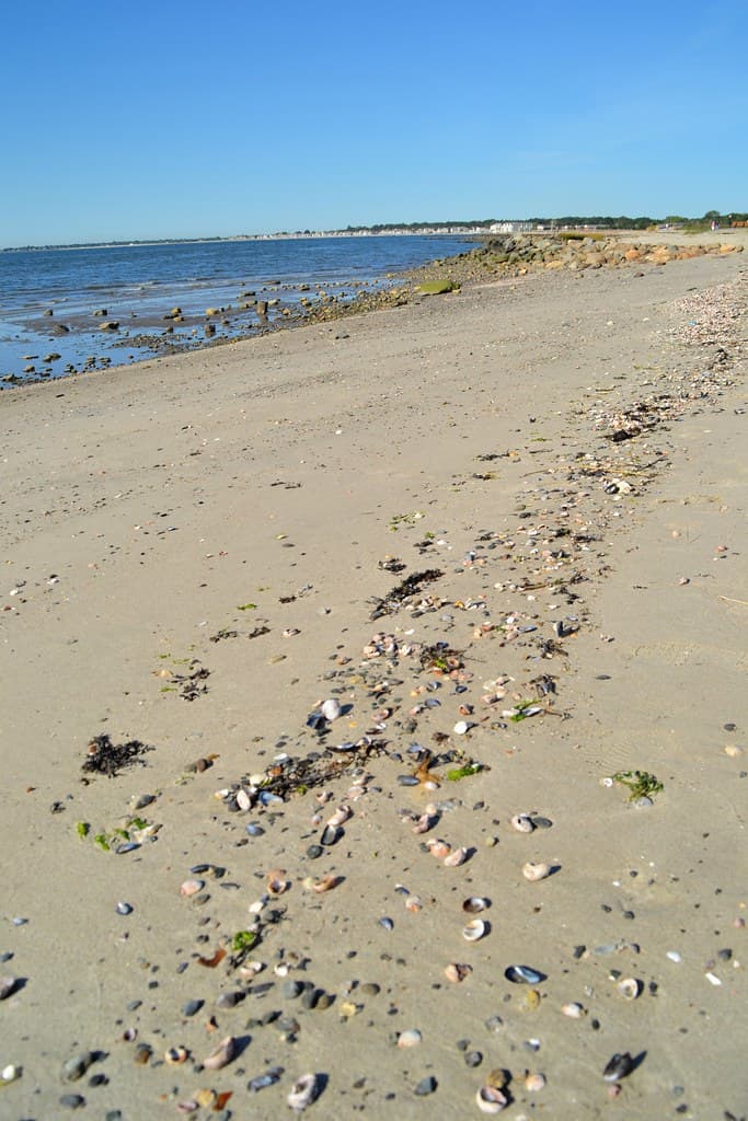 Silver Sands State Park - Beach (2013)