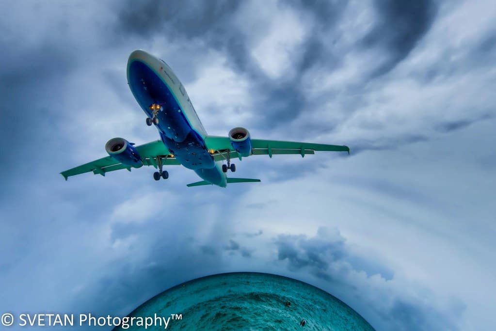 BIG BIRD FLYING