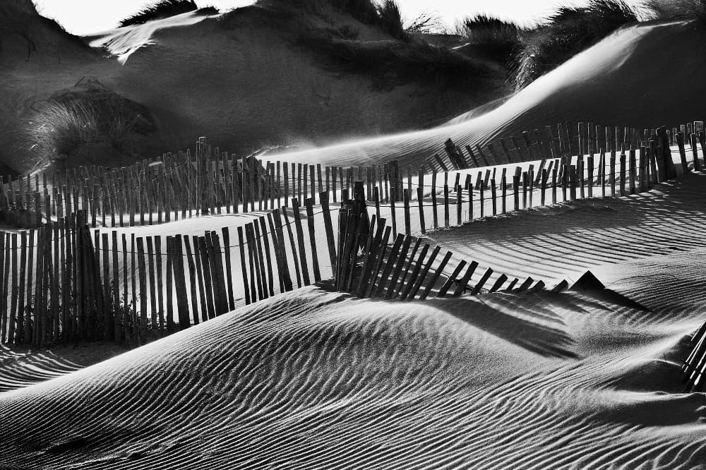 Camargue - Dune des Saintes Maries De La Mer