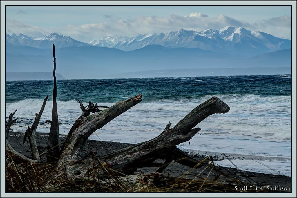 Point Partridge Beach