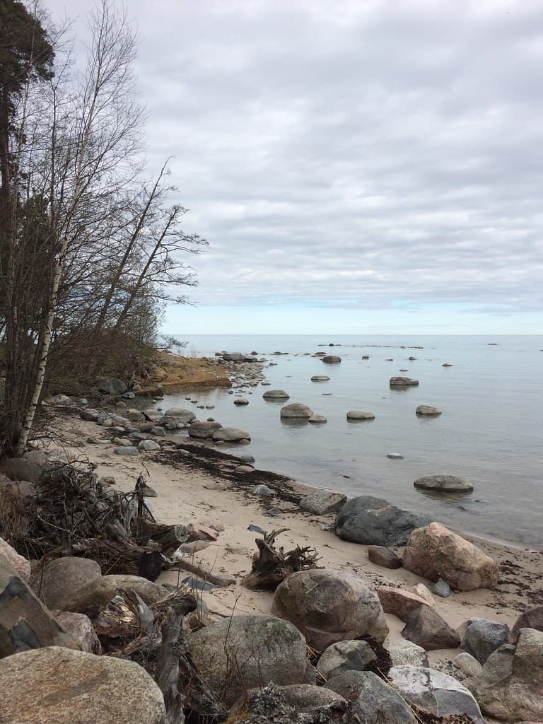 Võsu River Mouth Beach — photo by sergei.gussev