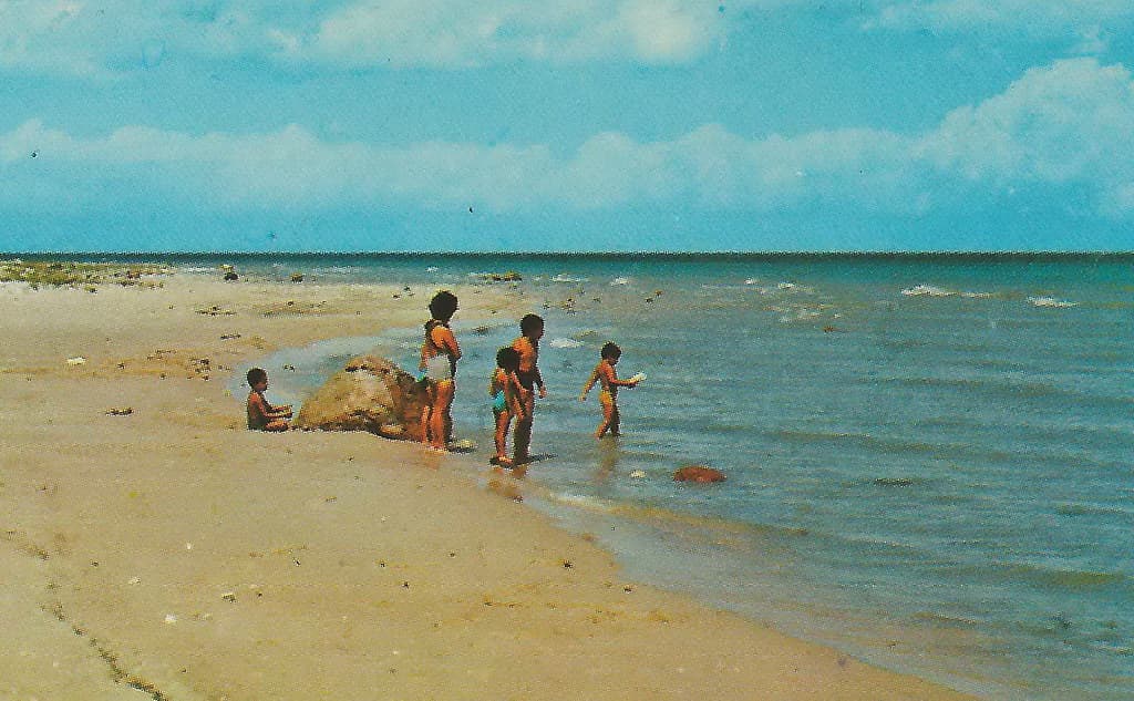 NE Rogers City MI 1960s BEACH BABES and Family FUN at Presque Isle County Lake Huron Beach PH Hoeft State Park 5 Miles North of Rogers City1