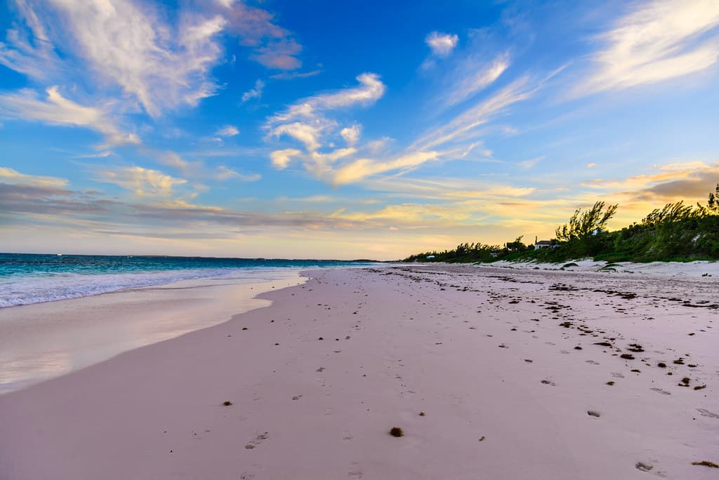 The Bluff Beach — photo by solarnu