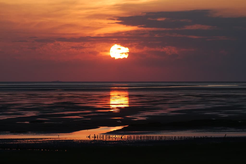 Halen Strand — photo by Julien Carnot
