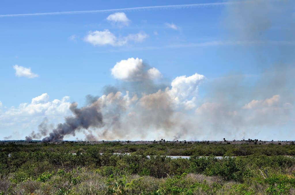 Canaveral National Seashore - Controlled Burn