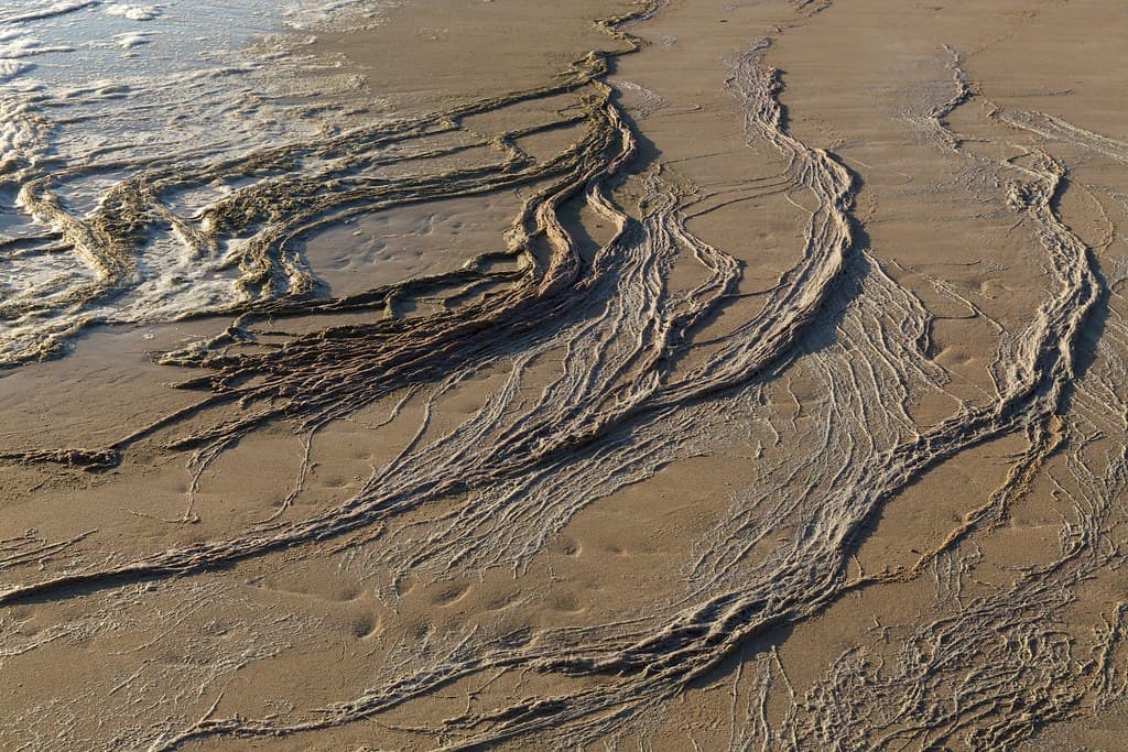 tide recedes
