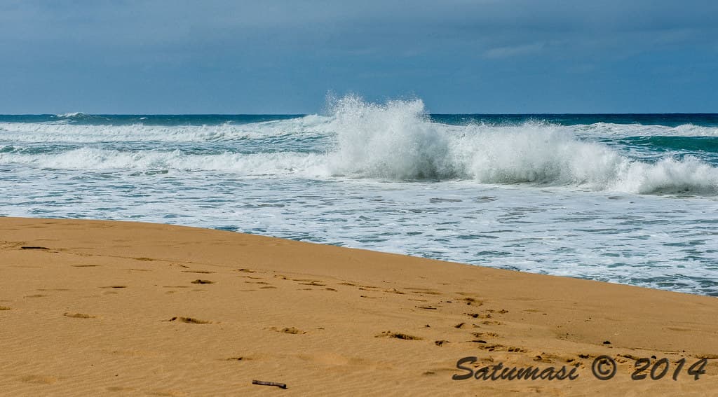 Kauai Trip-_LNT2496_0237.jpg