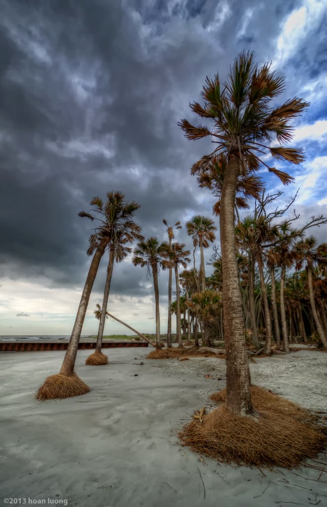 Coffin Point Beach — photo by hoan luong