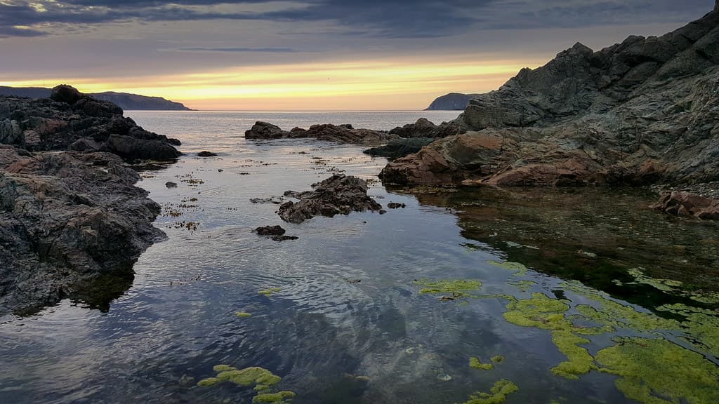 Back Harbour Beach — photo by gorbould