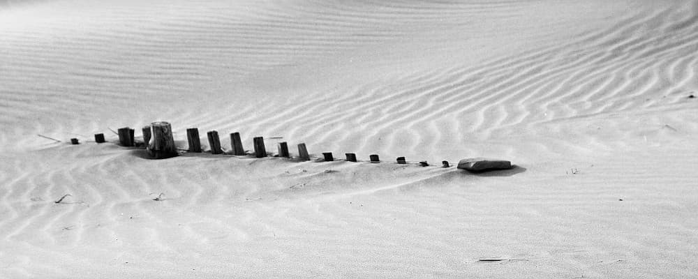 Camargue - Dune des Saintes Maries De La Mer