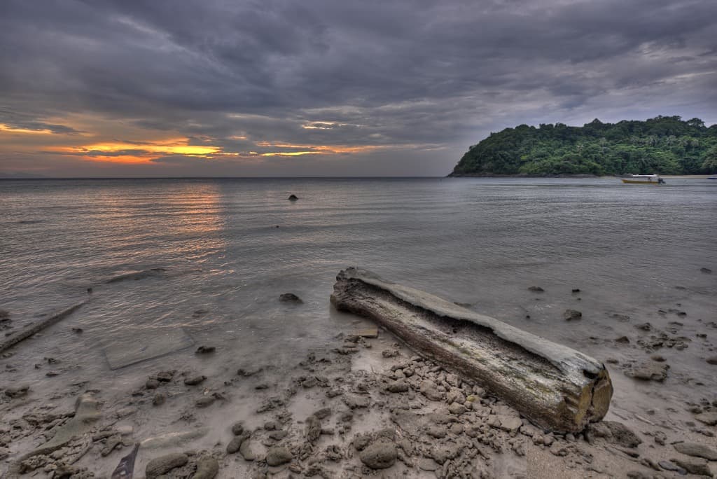 Dead Log on a Beach Sunset