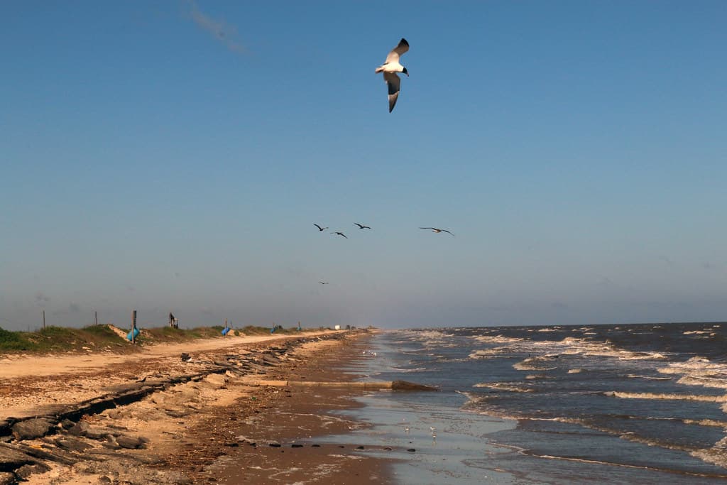 Sabine Pass Gulf Beach