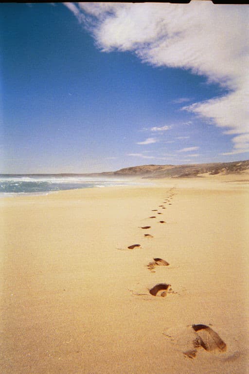 Coffin Bay Beach