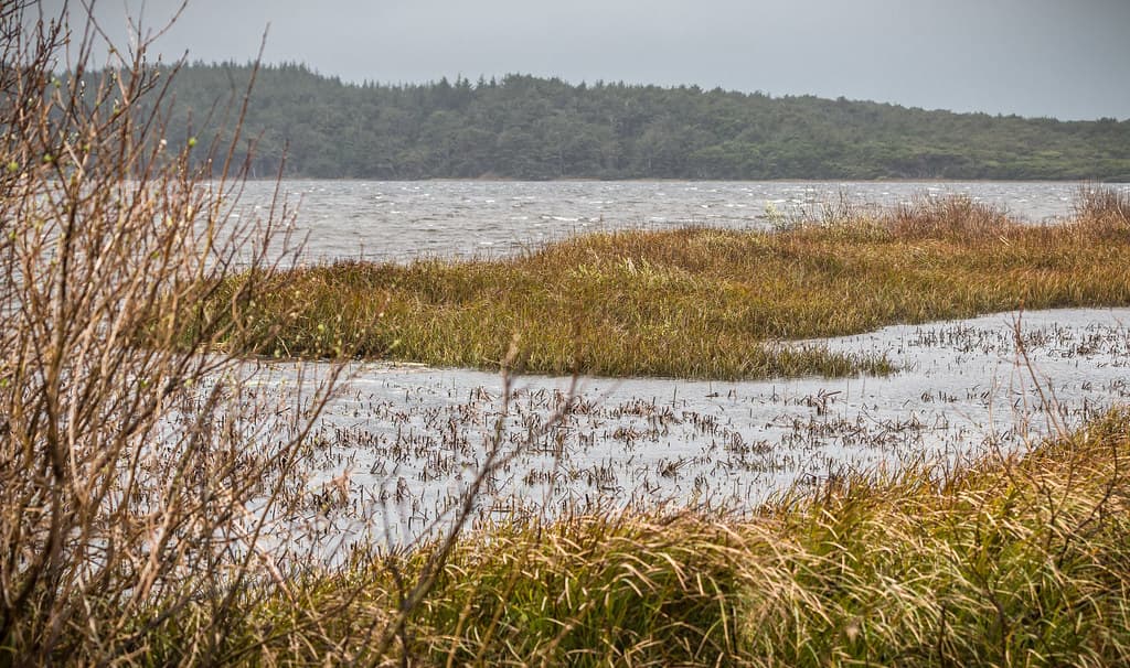 Floras Lake