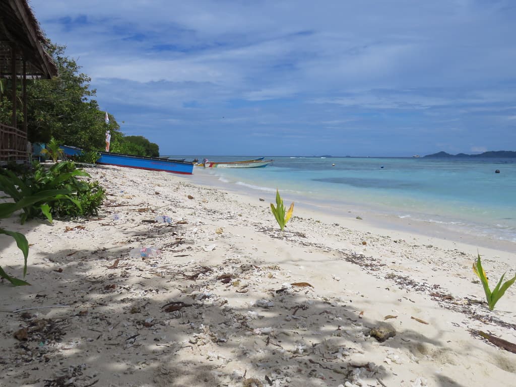 Croisière à Raja Ampat 2017