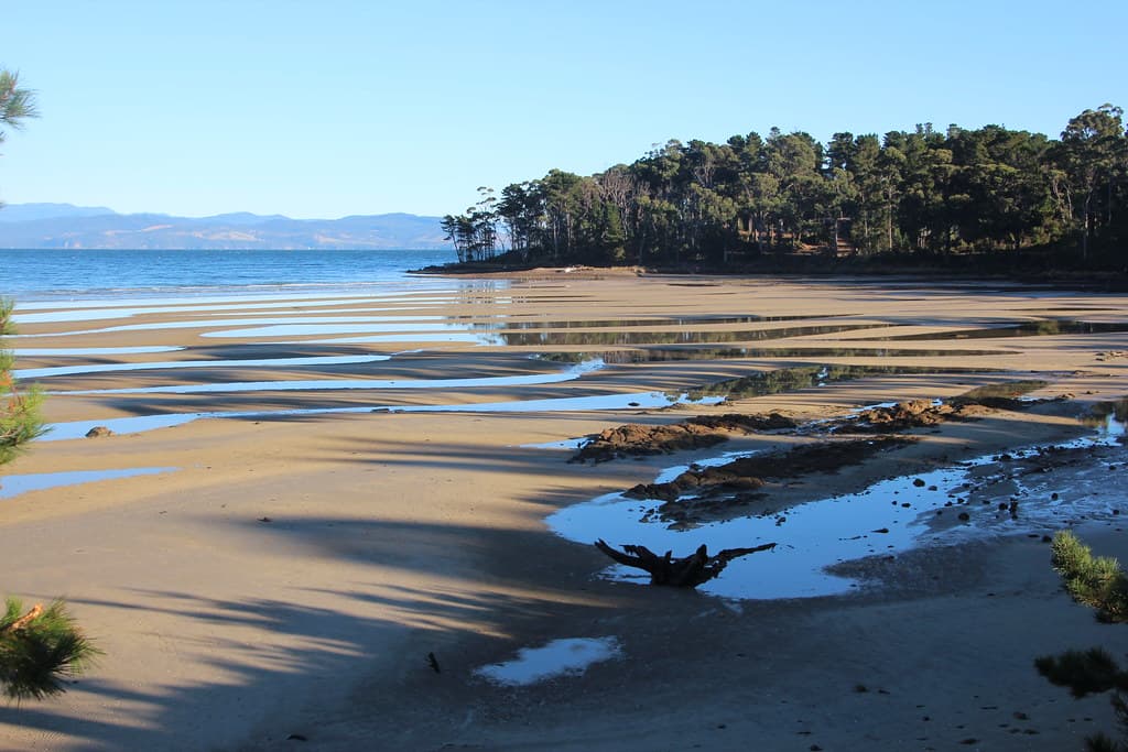 Little Taylors Bay — photo by John Englart (Takver)