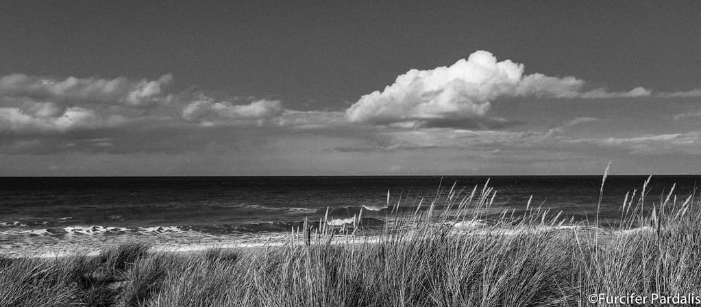 Beach in back&white