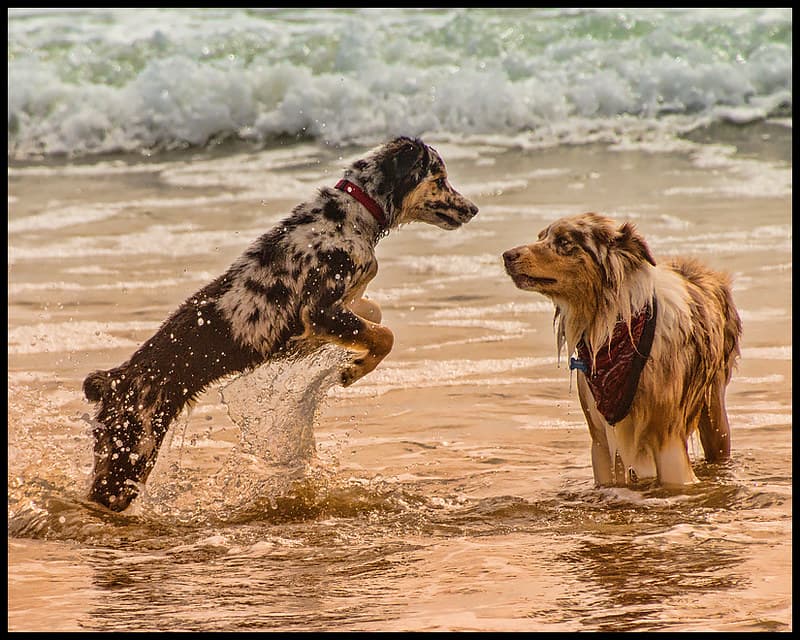 082106143rd-upload-beach
