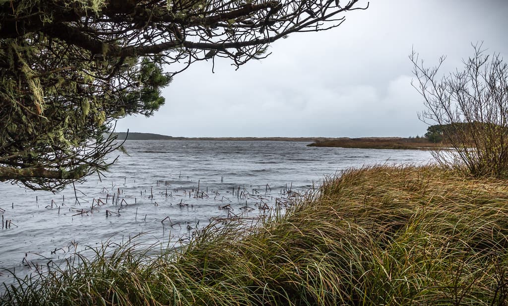 Floras Lake