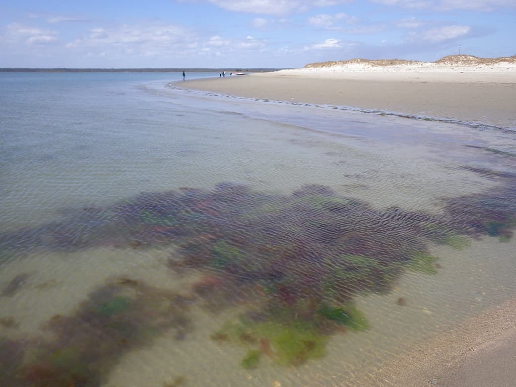 North Inlet Beach