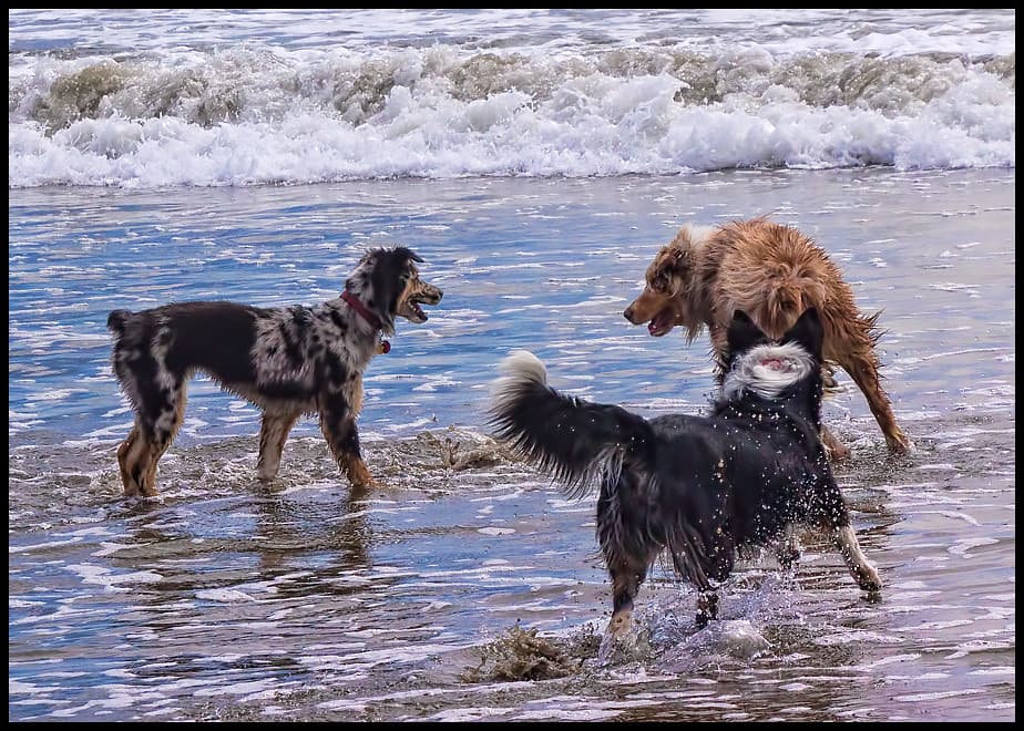 252106143rd-upload-beach