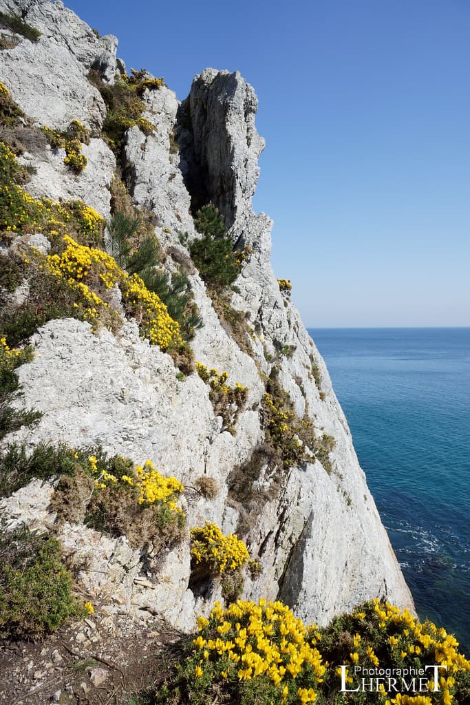 20170409-S028 Plage de l'ile vierge Morgat 4820