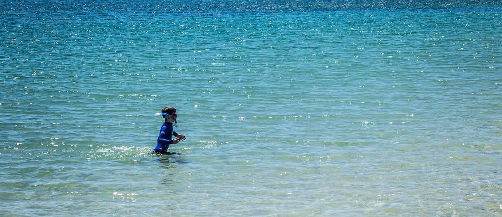 Ezra #1, Snake Beach, Southwest National Park