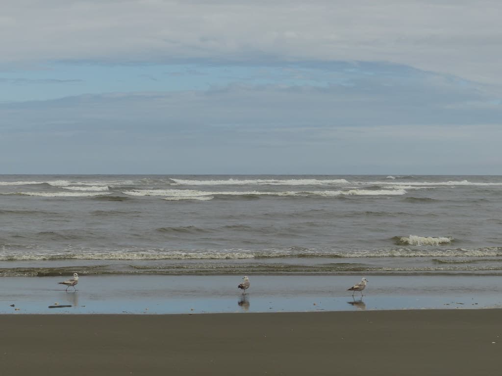 Seabrook Beach