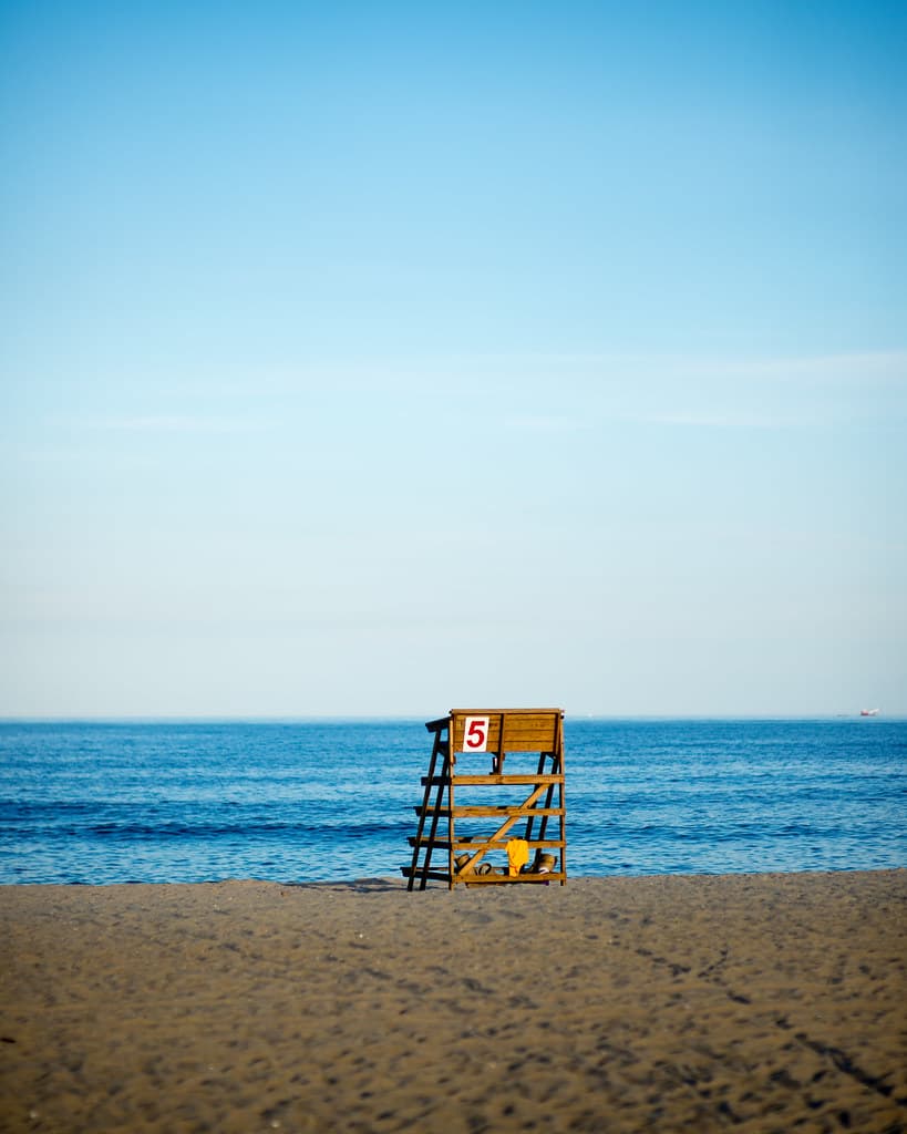 one perfect day