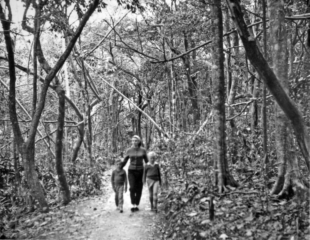 Walking in Burleigh Head National Park, Gold Coast, August 1960