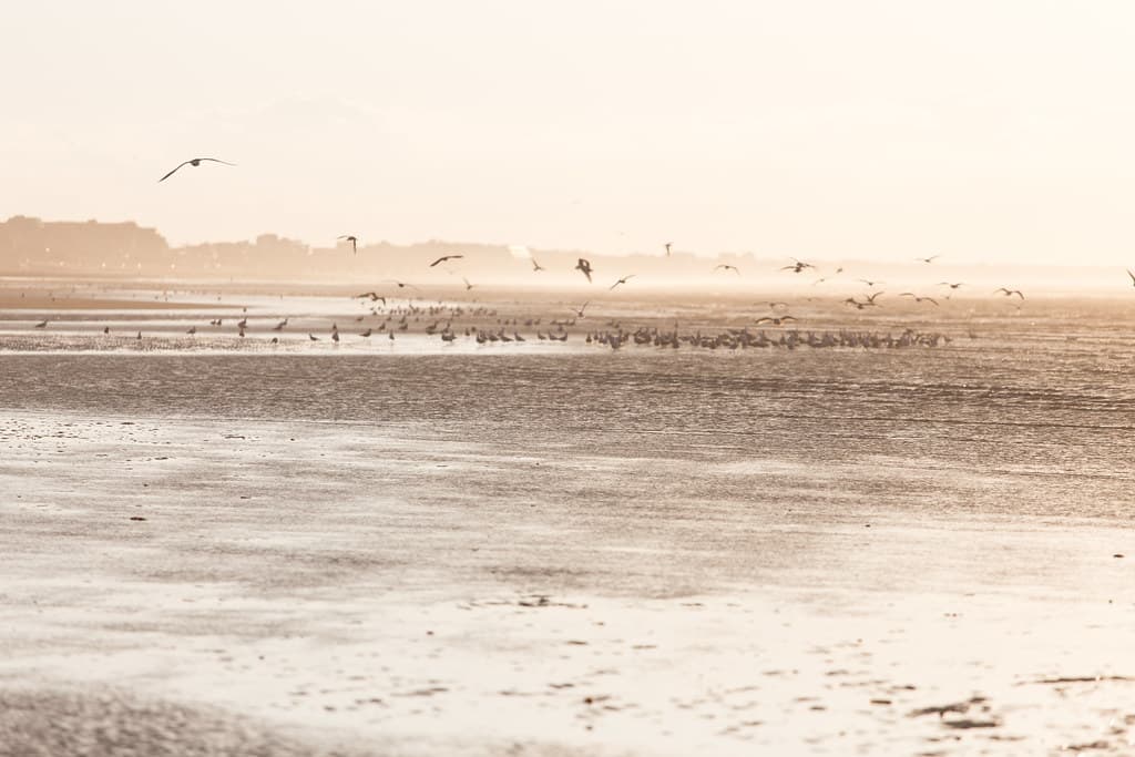 Plage de Cabourg