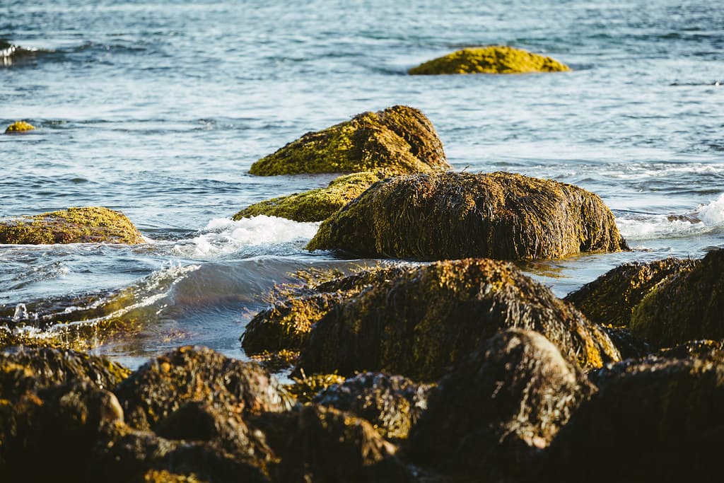 Weekapaug Point, RI