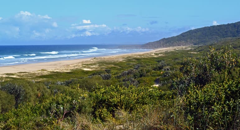 Treachery to Yagon