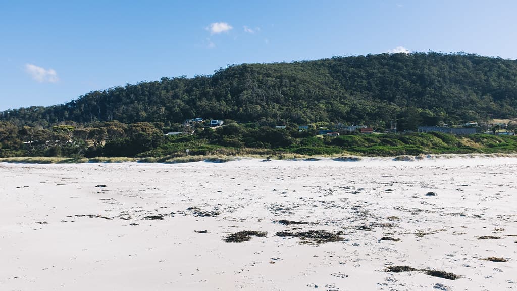 Morning on Redbill Beach