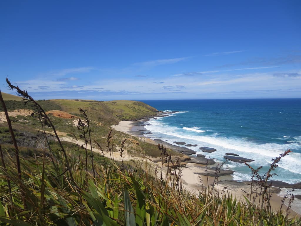 Waiotemarama Gorge Beach — photo by purdyrns