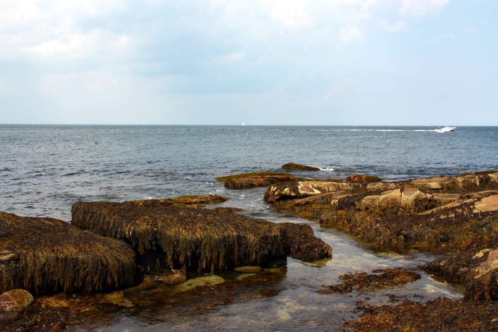 Halibut Point, Rockport