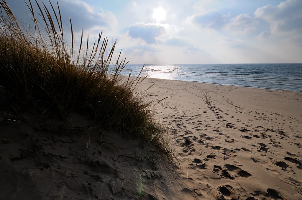 Rosy Mound Natural Area Beach — photo by haglundc