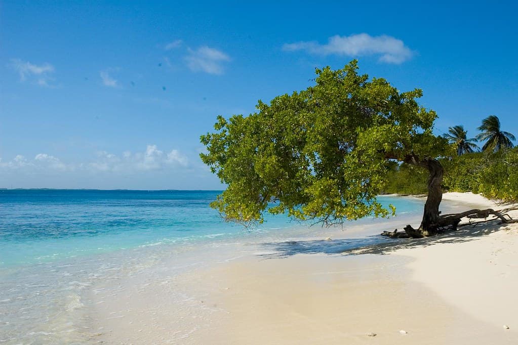 Playa Punta Brava — photo by Andreas Stephan