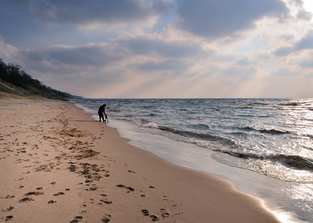 Rosy Mound Natural Area Beach — photo by haglundc
