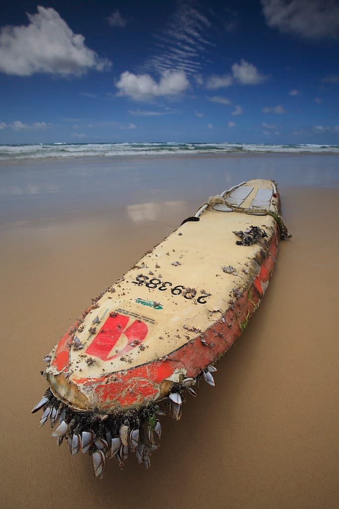 Washed ashore